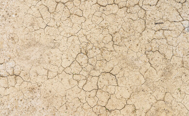 Brown dry soil or desert cracked ground texture background,land arid earth warming.