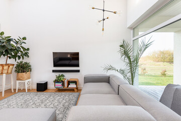 Big window, plants, couch and tv in elegant living room interior