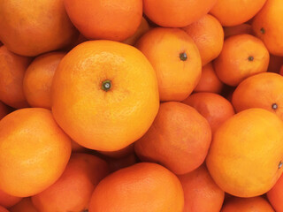 Organic orange mandarins and clementines with peel untreated with chemicals for sale in the healthy and natural food store in winter
