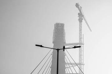 a bird sitting on pole at signature bridge delhi.