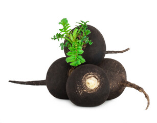 Black radish and slices isolated on a white background