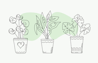 Set of hand drawn houseplants in pots on a white isolated background. Doodle style. Vector graphics.