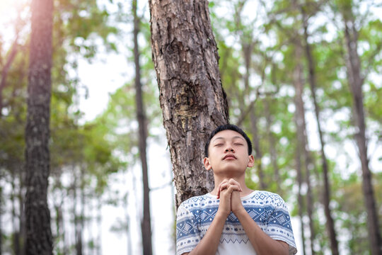 Handsome boy christian standing praying to God under the tree in forest.