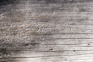 The texture of an old tree of silvery color without bark and with fluffy fibers