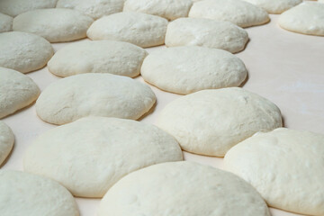 Fototapeta na wymiar Fresh dough on the board, pizza, Georgian bread, shoti.