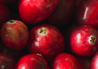 Fototapeta na wymiar Close Up of Red Cranberries