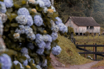 Estrada Rio do J&uacute;lio
