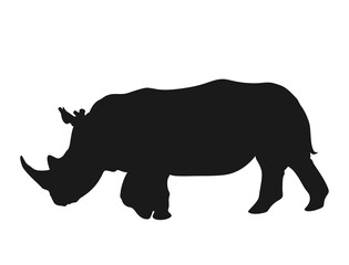 Obraz na płótnie Canvas Silhouette of a rhino looking for food 