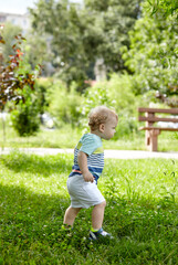 Little boy walking in the park. The concept of a happy childhood, summer outdoor recreation, summer vacation