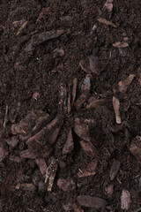 Background, texture of soil for orchids. Top view of the fertile grung. Land with elements of wood...