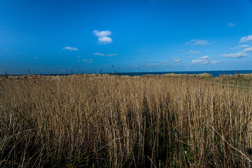 Beach at Seaton Sluice