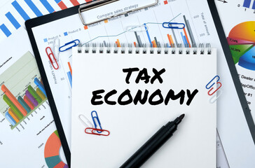 On the table are reports, charts, a notebook with the inscription - TAX ECONOMY