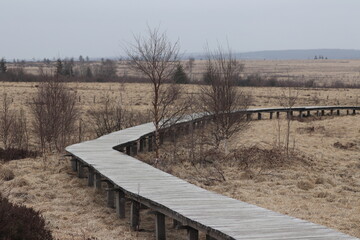 Obraz premium road in the plains
