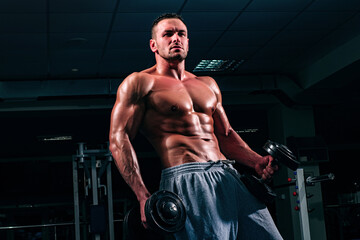 Fototapeta na wymiar Gym training. Man bodybuilder doing exercises with dumbbell. Fitness muscular body.