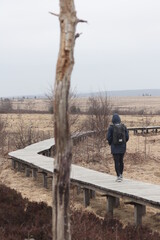 Obraz premium road in the plains