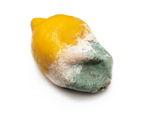 One rotten, half-decomposed, limp, green-and-white moldy fruit on a white background. Spoiled,...