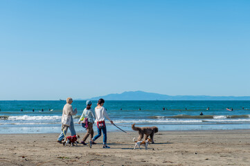 犬を連れて海岸を散歩する人々