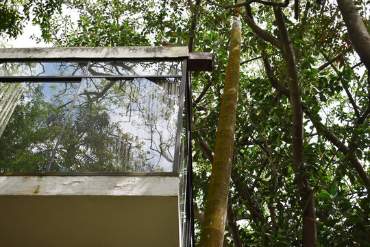 Modernist Historical Heritage House Lina Bo Bardi Preserved Vegetation Atlantic Forest