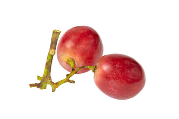 Pink grapes close-up on a branch is isolated on a white background.