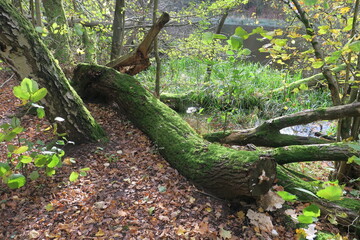 Herbst 05