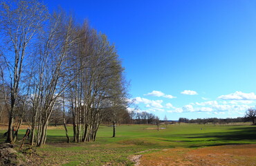 Nice Swedish landscape. Blue sky, some low clouds. Meadow and forest in the background. Spring time during a sunny day. Stockholm, Sweden, Europe.