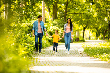 Fototapeta premium Happy family with cute bichon dog in the park