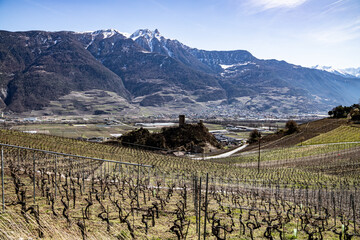 Saillon, Switzerland 28.03.2021 - Saillon Castle, Pierre Avoi and vineyards in Spring, Farinet hike