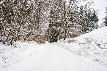Snow covered road in the forest