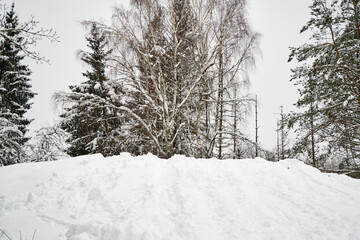 Small hill with snow covered trees in winter