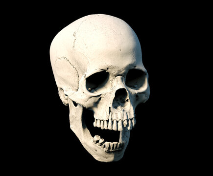 A human skull with an open jaw in rich colors against a isolated black background. The concept of death, horror. Spooky symbol of Halloween, virus, immortality, piracy. 3d render illustration.