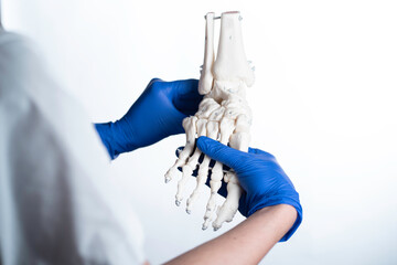 physioterapist holding foot skeleton with wite background