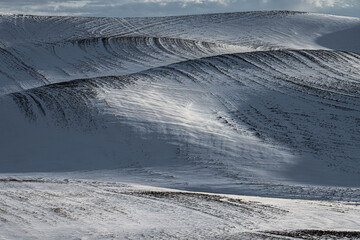 Obraz premium Winter Landscape in the Palouse, WA