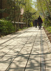 The High Line was formerly a railway converted into an urban park with greenery planted in the trackbeds