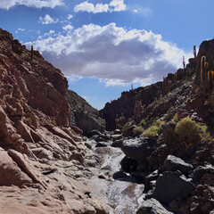 Desert valley landscape with river, cactus and pampas grass, Atacama salt desert, Chile