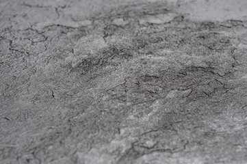 Grey texture of slate stone. Close up.