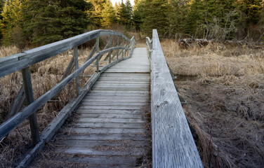 Twisted old wooden hiking bridge crossing an area of dead grass and leading into brightly lit forest.
