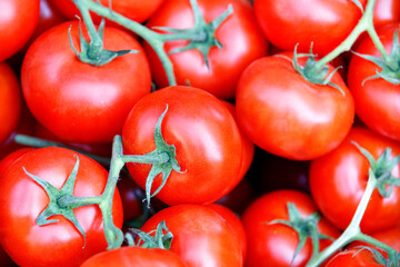 Branches of fresh red tomatoes with green stems close-up.