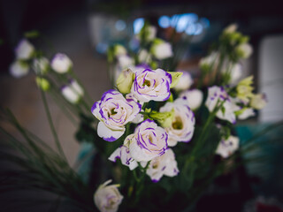 Bouquet of white-blue pink, photo close up, blur in the background