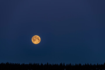 Orange full moon with dark blue sky and forest in Jizerske mountains