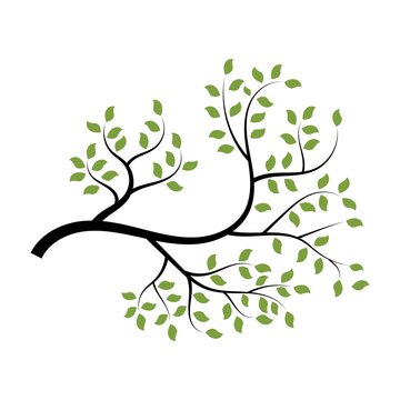 Tree Branch Vector Ilustration Design