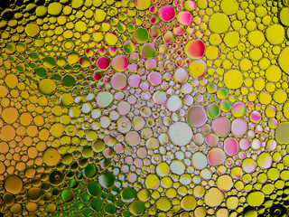 Oil bubbles on the water surface