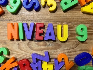 Niveau 9 (mot en français)
