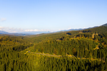 Aerial view of bright green spruce and yellow autumn trees in fall forest and distant high mountains.