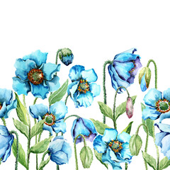 Seamless pattern border with field blue poppies, blooming flowers on stems with buds and green leaves. Hand drawn watercolor painting on white background for textile design, fabric, packaging, print.