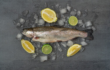 Fresh raw trout fish  and lemon slices on the ice.Top view.Black marble background..