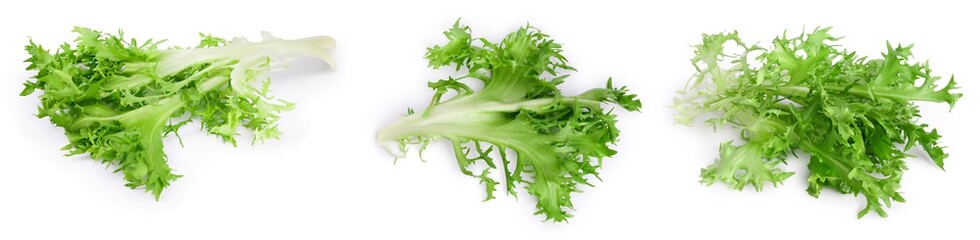 Fresh green leaves of endive frisee chicory salad isolated on white background with full depth of field. Set or collection - obrazy, fototapety, plakaty