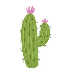 Exotic cactus with pink flower.