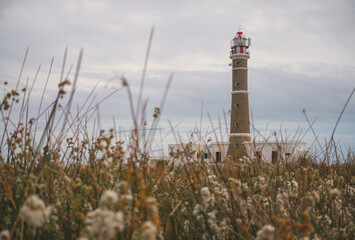 lighthouse on the coast