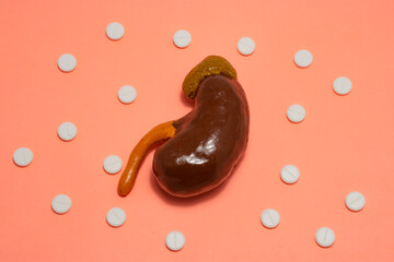 Symbol or concept of kidney nephrology, treatment and diagnosis. The anatomical figure of a human or animal kidney is on a beige background surrounded by pills that create a polka dot pattern