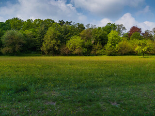 field and blue sky